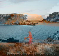 The Nut - Accommodation Ballina