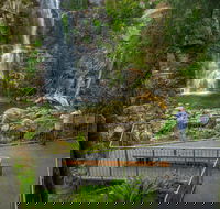 The Falls Walk Budderoo National Park - Accommodation Ballina
