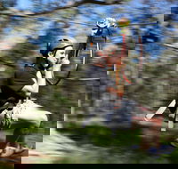 TreeTops Western Sydney - Accommodation Ballina