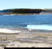 Wasp Head Picnic Area - Accommodation Ballina