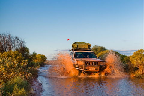 Witjira National Park - Accommodation Ballina 1