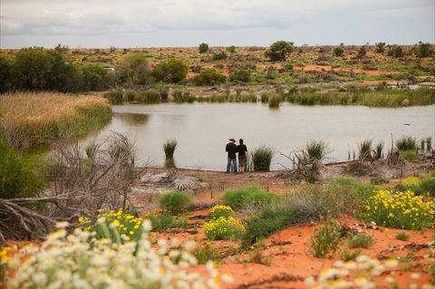 Witjira National Park - Accommodation Ballina 2