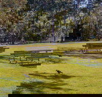 Wombeyan picnic area - Accommodation Ballina