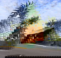 Woombye - Accommodation Ballina