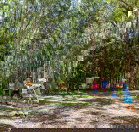 Ballina Disc Golf - Accommodation Ballina