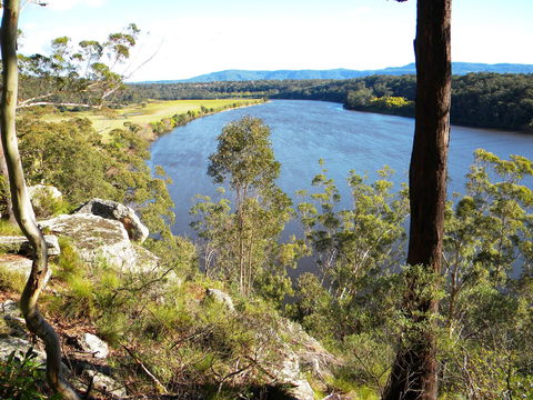 Bens Walk - Accommodation Ballina 0