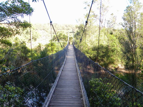 Bens Walk - Accommodation Ballina 1