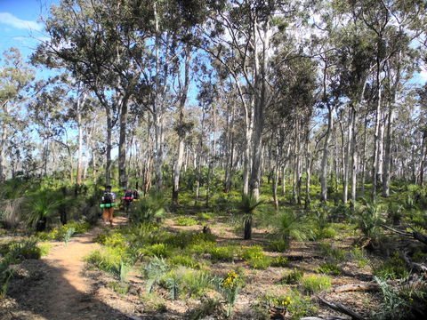 Bibbulmun Track - Accommodation Ballina 1