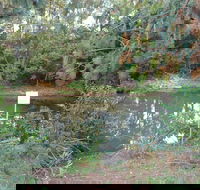 Birdwing Butterfly Walk - Accommodation Ballina