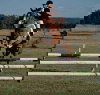 Camden Bicentennial Equestrian Park - Accommodation Ballina