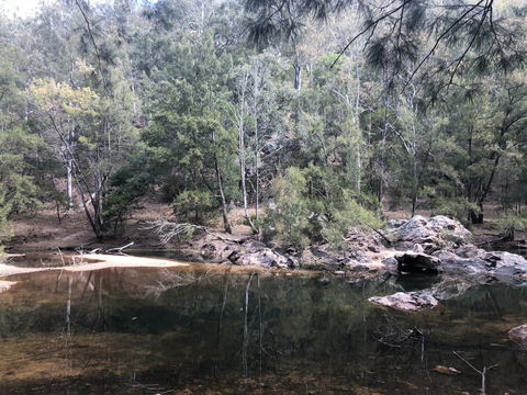 Deua River Camp Ground - Accommodation Ballina 0