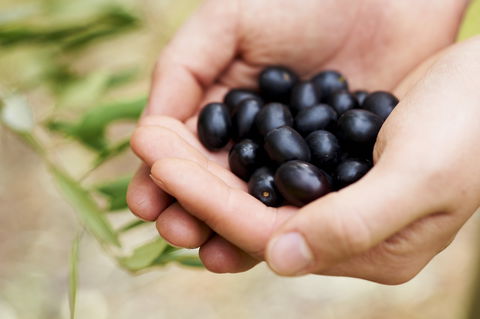 Eat, Pick, Grow Trail - Wanneroo And Chittering - Accommodation Ballina 0