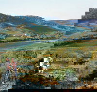 Farm Flavour Trail Chittering Valley - Accommodation Ballina