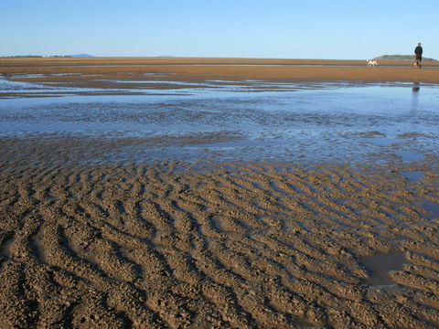 Far Beach - Accommodation Ballina 1