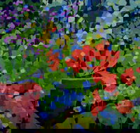 Ferry Artists Gallery - Accommodation Ballina