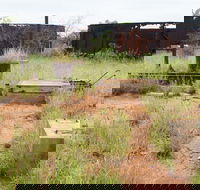 Ghans Bore No7 Govt Bore - Accommodation Ballina