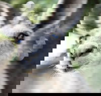 John Egan Pioneer Track - Accommodation Ballina