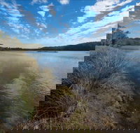 Lake Innes Nature Reserve - Accommodation Ballina