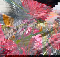 Mokoan Rest Stop Northbound - Accommodation Ballina