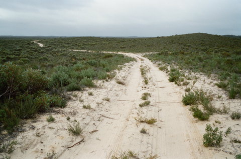 Ngarkat Conservation Park - Accommodation Ballina 0