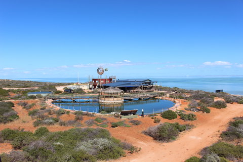 Ocean Park Aquarium - Accommodation Ballina 1