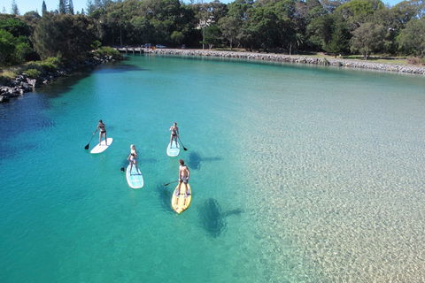 Paddleboard At Back Creek South West Rocks - Accommodation Ballina 0