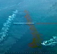 Port Noarlunga Reef Sanctuary Zone - Encounter Marine Park - Accommodation Ballina