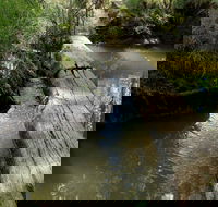 Second Ponds Creek Walk - Accommodation Ballina