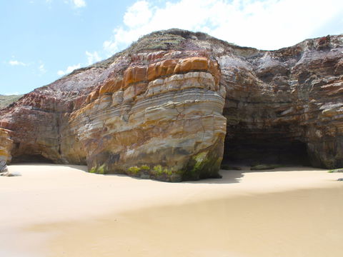Shelley Caves - Accommodation Ballina 0