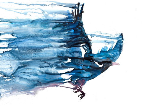 Sluga Gallery - Accommodation Ballina 1