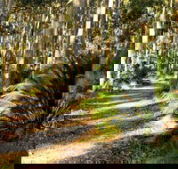 Square Head Track 2 - Accommodation Ballina