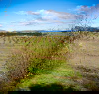 Tarago Truffles - Accommodation Ballina