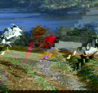 Tas-Saff - Accommodation Ballina