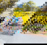 The Heron's Highway - Avon River Cycle Trail - Accommodation Ballina