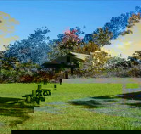 Tunks Hill picnic area - Accommodation Ballina