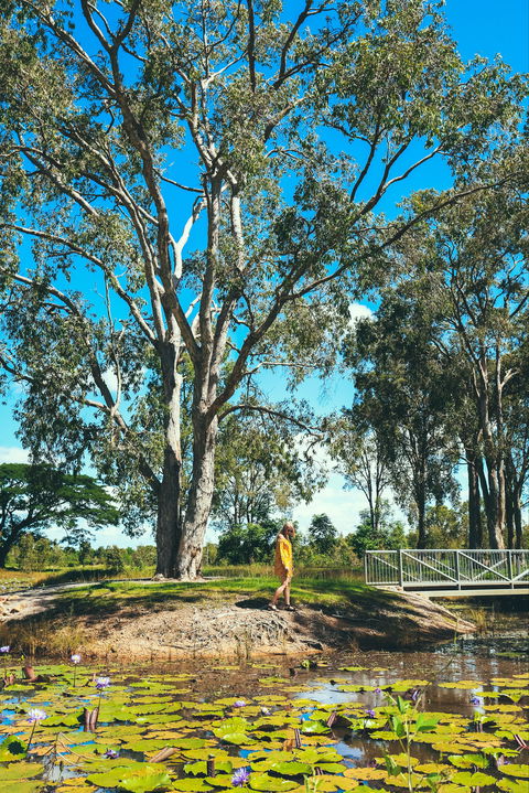 TYTO Wetlands - Accommodation Ballina 1