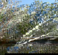 Wongi State Forest - Accommodation Ballina