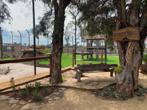 Zambi Wildlife Retreat - Accommodation Ballina 1