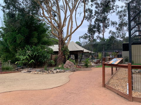 Zambi Wildlife Retreat - Accommodation Ballina 2