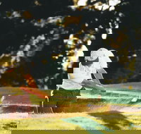 Aberdeen Golf Club - Accommodation Ballina