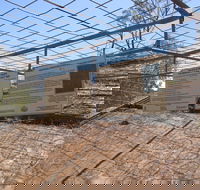 Aboriginal Carvings - Accommodation Ballina