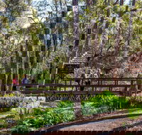 Armadale - Accommodation Ballina