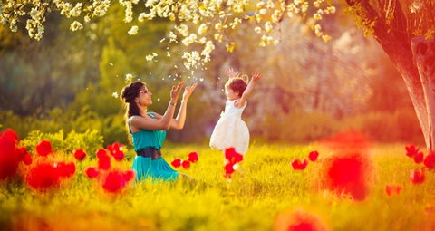 Auburn Botanic Gardens - Accommodation Ballina 0