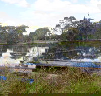 Baldwin Swamp Environmental Park - Accommodation Ballina