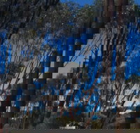 Boorabbin National Park - Accommodation Ballina