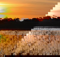 Bool Lagoon Game Reserve and Hacks Lagoon Conservation Park - Accommodation Ballina