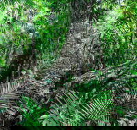 Djiru National Park - Accommodation Ballina