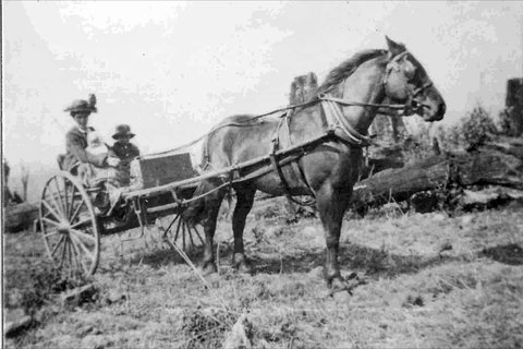 Don Dorrigo And Guy Fawkes Historical Society Museum - Accommodation Ballina 1