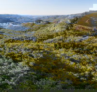 Gold Coast Hinterland Great Walk - Accommodation Ballina