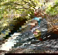 Haig Street Quarry Bushland Reserve Trails - Accommodation Ballina